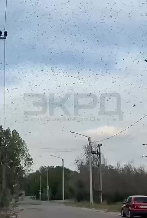  :     , ,  