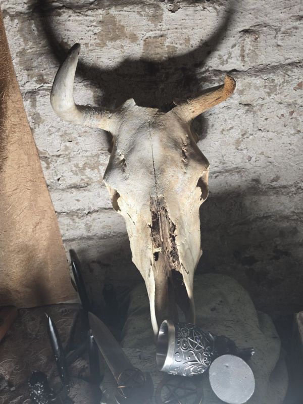 О хохлах и другой нечисти. Всегда забавляло, насколько средний хохол погружён в эзотерику, магию, суеверия и всякую чертовщину О хохлах и другой нечисти. Всегда забавляло, насколько средний хохол погружён в эзотерику, магию, суеверия и всякую чертовщину