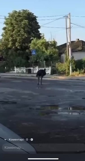 #__:       