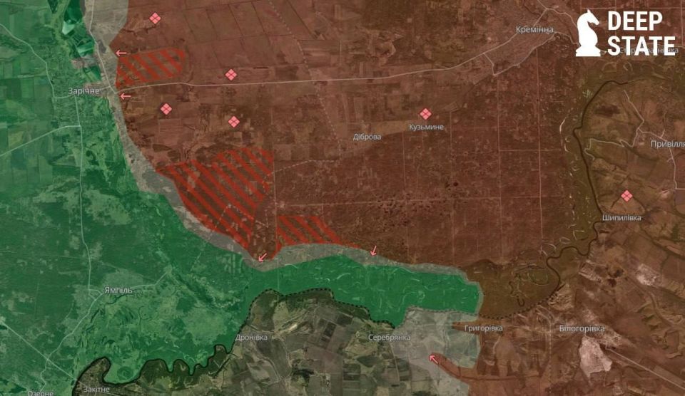 Свинстейт сообщает об успехах наших воинов в Серебрянском лесничестве