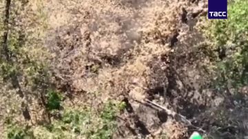 В результате успешного отражения контратак нациков из "Азова" на Краснолиманском направлении уничтожено 8 единиц техники и до 50 человек личного состава