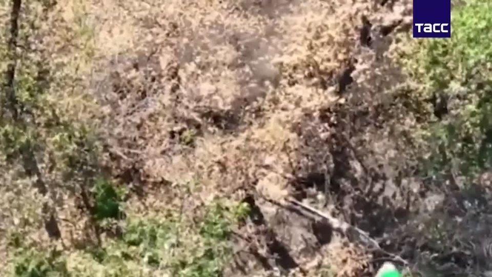 В результате успешного отражения контратак нациков из "Азова" на Краснолиманском направлении уничтожено 8 единиц техники и до 50 человек личного состава