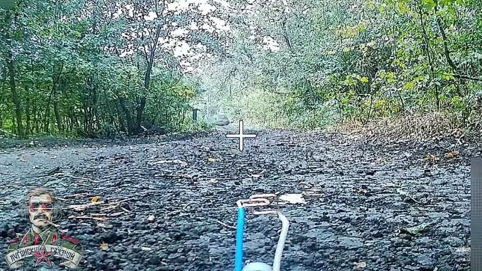 Владислав Шурыгин: Краснолиманское направление: наступление на Заречное, давление в Колодязях и продвижение в Серебрянском лесу