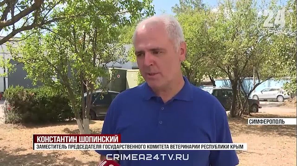 В Симферопольском районе началась сезонная вакцинация домашних животных от бешенства