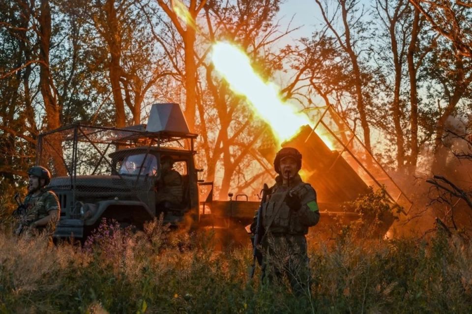 Вышли из леса и всех «задвухсотили»