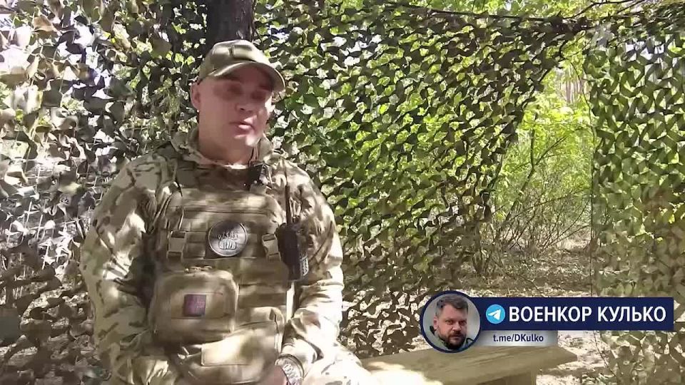 Дмитрий Кулько: Разгром ВСУ в Кременском лесу