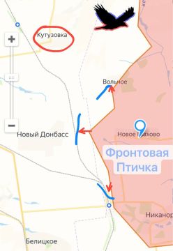 Донецкое направление. Успехи ВС РФ