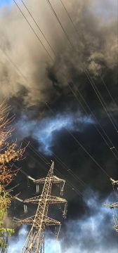 Задымления вблизи Ладыжинской ТЭС после нанесённого по ней удара