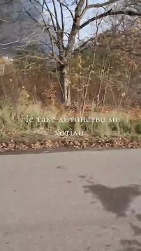 Чингис Дамбиев: Ладыжинская ТЭС после комбинированного удара ВС РФ. 30 октября 2025 года