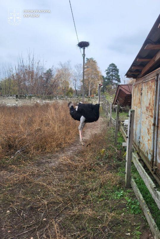 Винницкий депутат "купил" девушку с инвалидностью ради отсрочки, сообщает прокуратура Винницкий депутат "купил" девушку с инвалидностью ради отсрочки, сообщает прокуратура