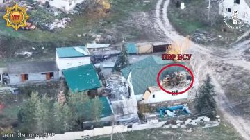 В населённых пунктах Кривая Лука и Ямполь Донецкой Народной Республики наши операторы ударных беспилотников неустанно ведут работу по уничтожению ПВР противника