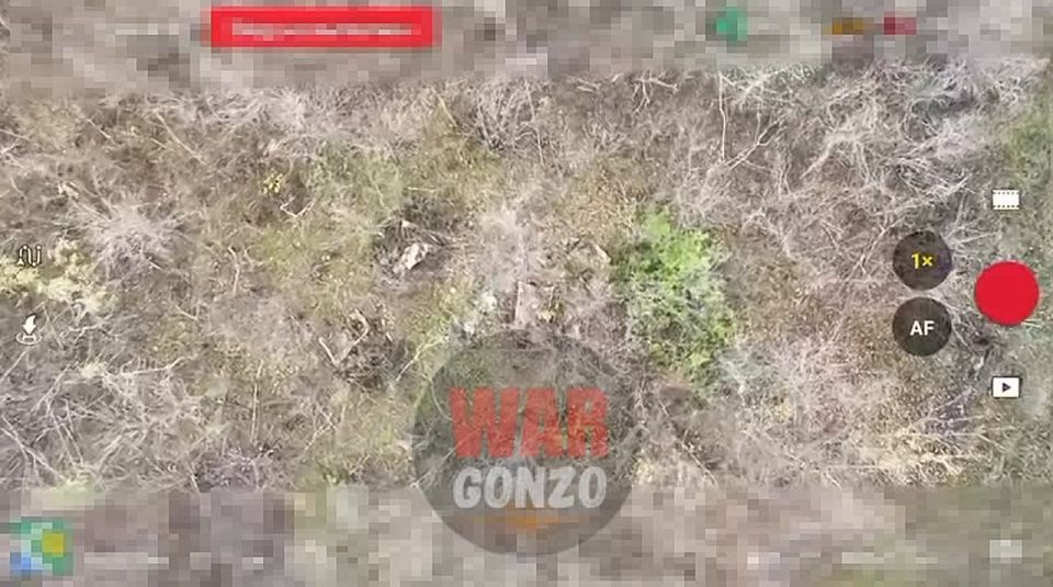 WarGonzo: Врагу не спрятаться от «стальных пчёл» Ямпольского полка