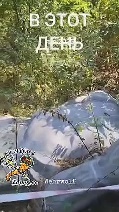 #бандеровская_оккупация: Плиты с могил советских воинов в Виннице свозят и хранят не на каком-нибудь пустыре, а в бывшей ставке Гитлера