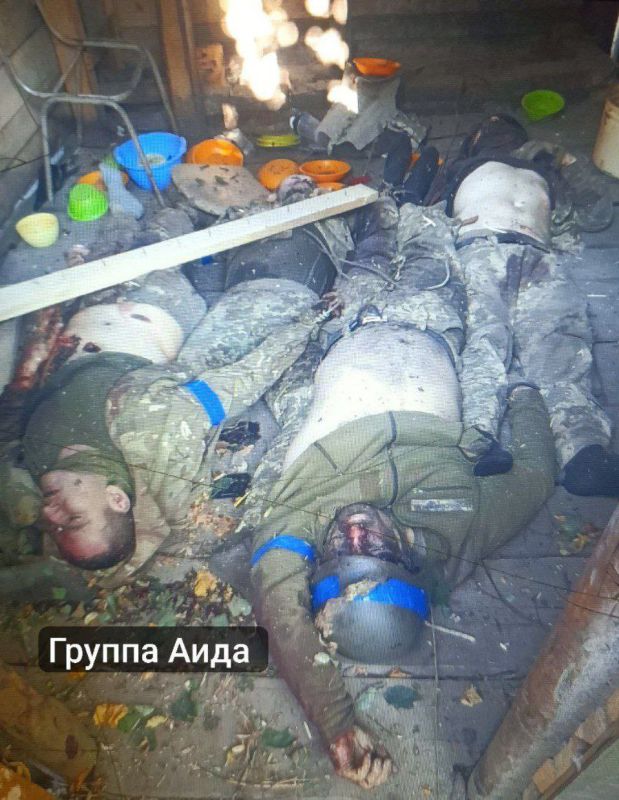 ������, �� ����� ������ �������� ������ ������� (����� ��, �� ������ �������) �� �������� 61 ������� ���