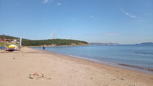 �������� ������ 650 ��� ������ � ������-���� �� ������� �������