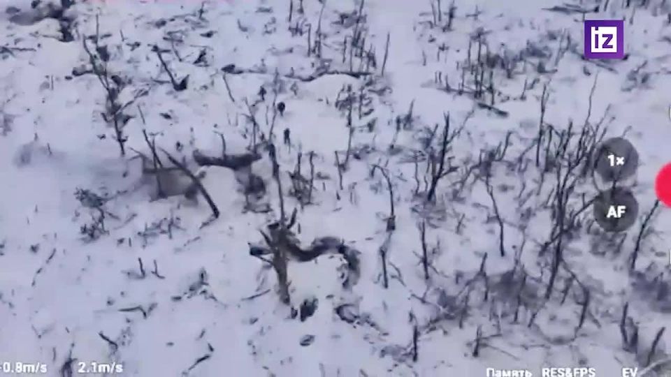 �������������� ����������� ��� ������ ����� � ���� ������ ������ ��� � ����������� �������, �������� � ���������� ��