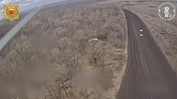 ����������. �������� �������� ����������