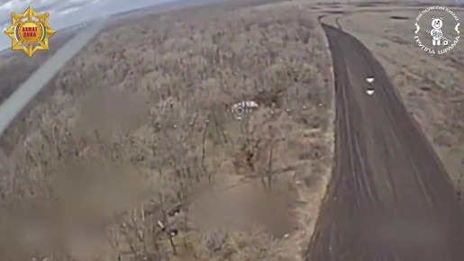 ����������. �������� �������� ����������