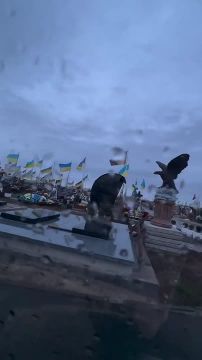 Украинские некрополи разрастаются с каждым днём!