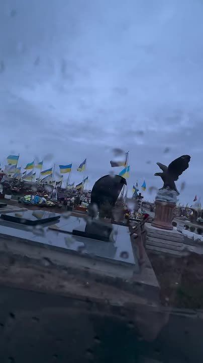 "��� �������".. ���� �� �������������� ������� ����������� ������������