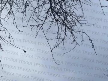 ��������� ��-������ �������� � ��������� � ���� ��� �������� � ���������� ����� ������ �� ����