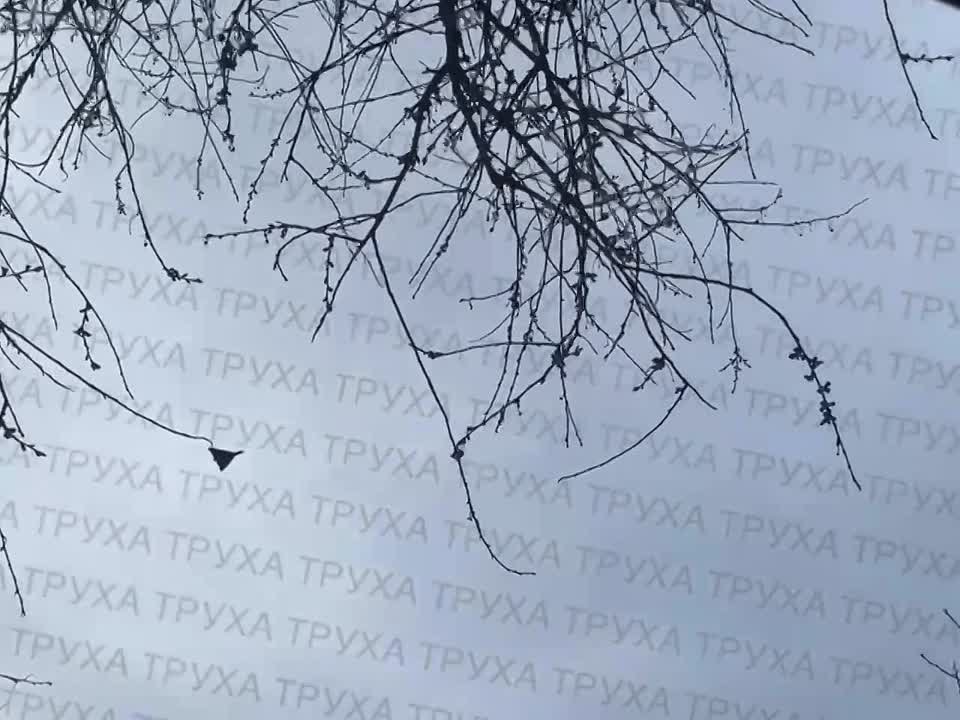 Винницкие ТГ-каналы сообщают о «Геранях» в небе над областью и показывают пролёт одного из БПЛА