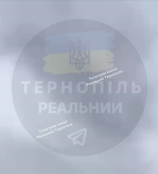 В Тернополе «Герань» одна за другой атакует город