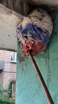 ��������� ����� ������ ������� ������ � ������ ����������� �����