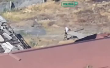 ���� ��������: ���������� ��������� ���������� �� ��������� �������� ��� ��� � ������ �������� �������