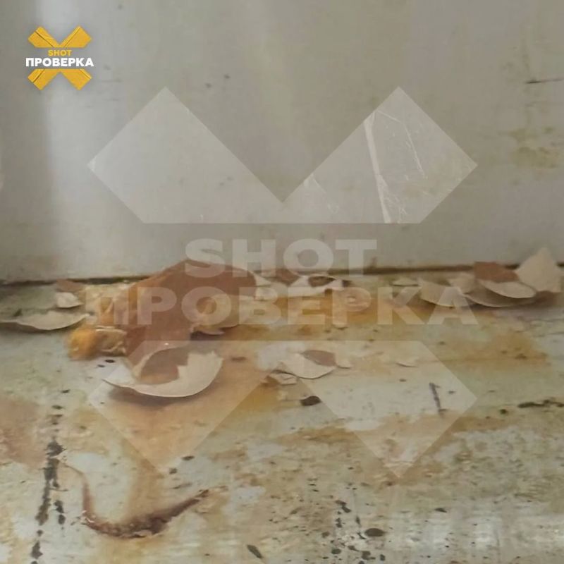 Бар актёра Александра Робака обвинили в антисанитарии, испорченных продуктах и задержках зарплаты Бар актёра Александра Робака обвинили в антисанитарии, испорченных продуктах и задержках зарплаты