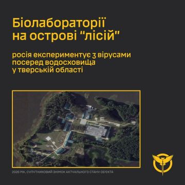 ��������� �������: ���� ����� �������� �������������� ��������� ��� ��������� ���������� � ������������� �������