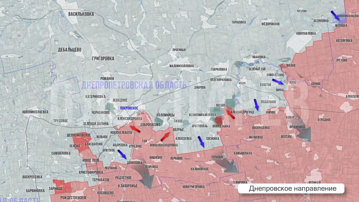 Олег Царёв: Фронтовая сводка. Фронтовая сводка 6 сентября Олег Царёв: Фронтовая сводка. Фронтовая сводка 6 сентября