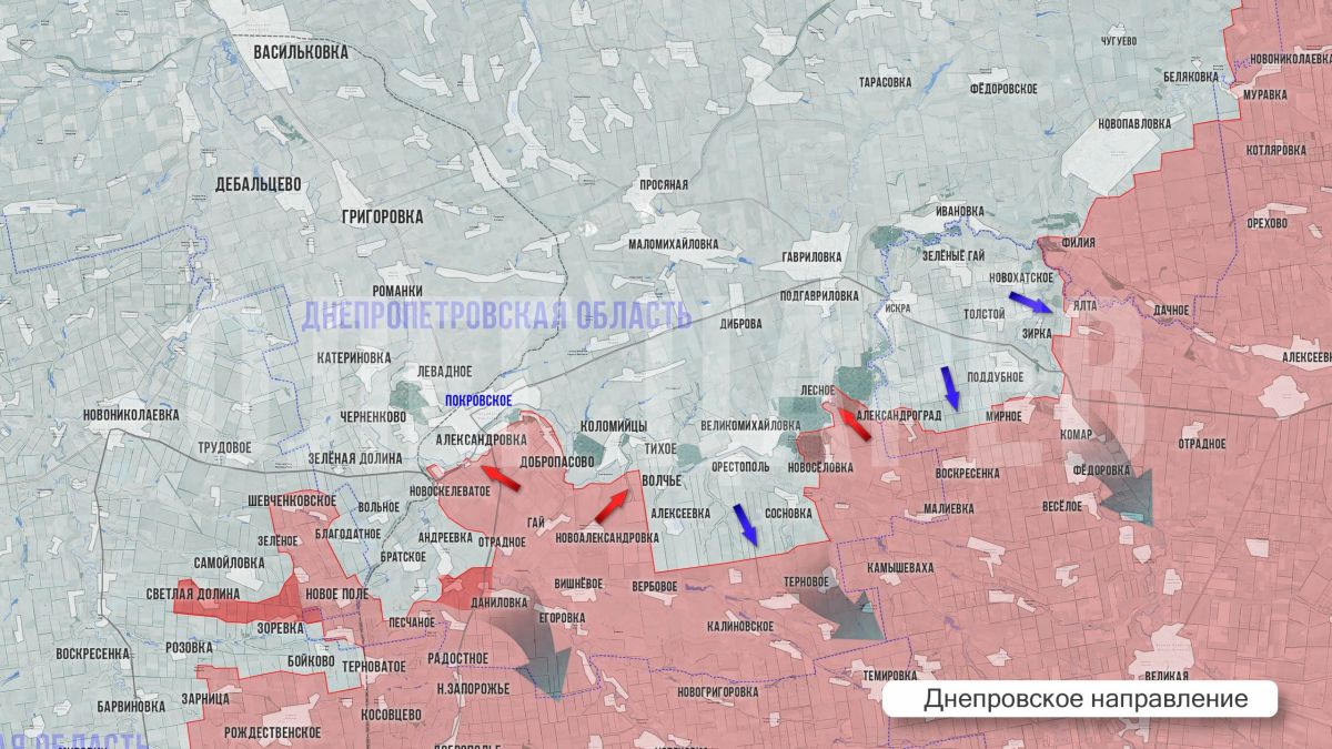 Олег Царёв: Фронтовая сводка 5 октября Олег Царёв: Фронтовая сводка 5 октября